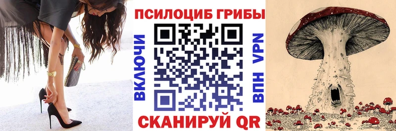 blacksprut зеркало  Вязники  Галлюциногенные грибы ЛСД 